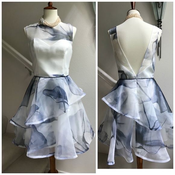 Nha Khanh Dresses & Skirts - NWOT Nha Khanh Designer Ruffled Party Dress